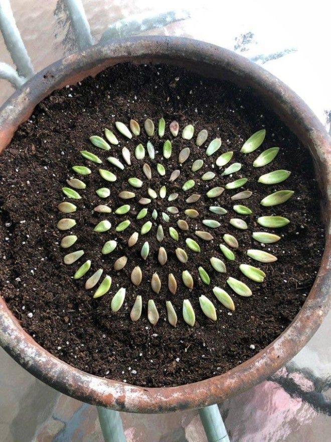 L20 вещей которые настолько идеальны что аж на душе приятно