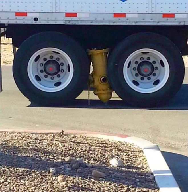 Прихватил и не заметил Фото Pinterest