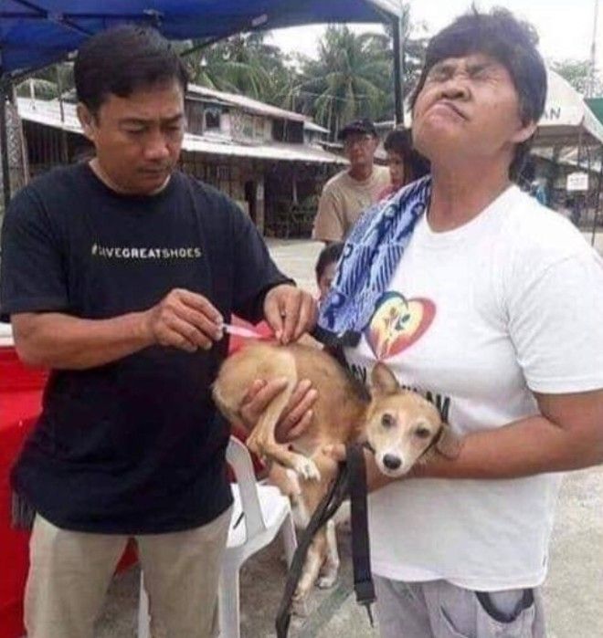 S17 хозяев которые окружают своего питомца круглосуточной заботой