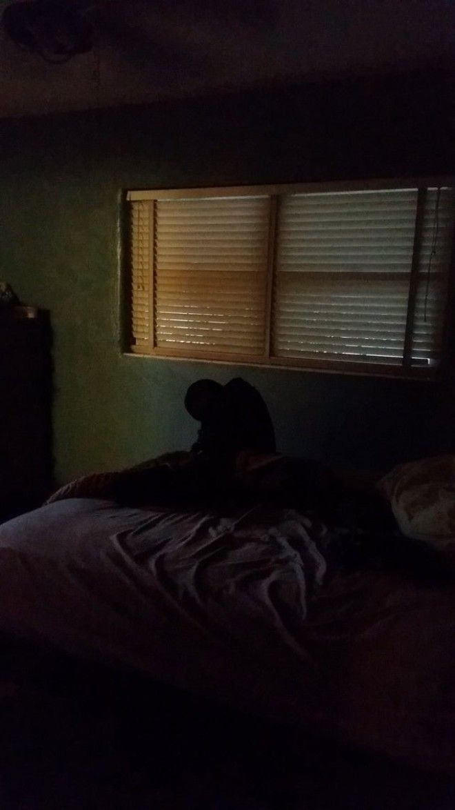 L19 жутких примеров когда безобидные вещи напугали людей до ужаса