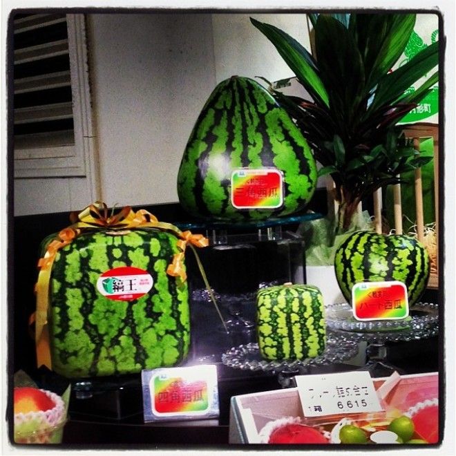 L20 фото странных вещей которые покажут Японию с другой стороны