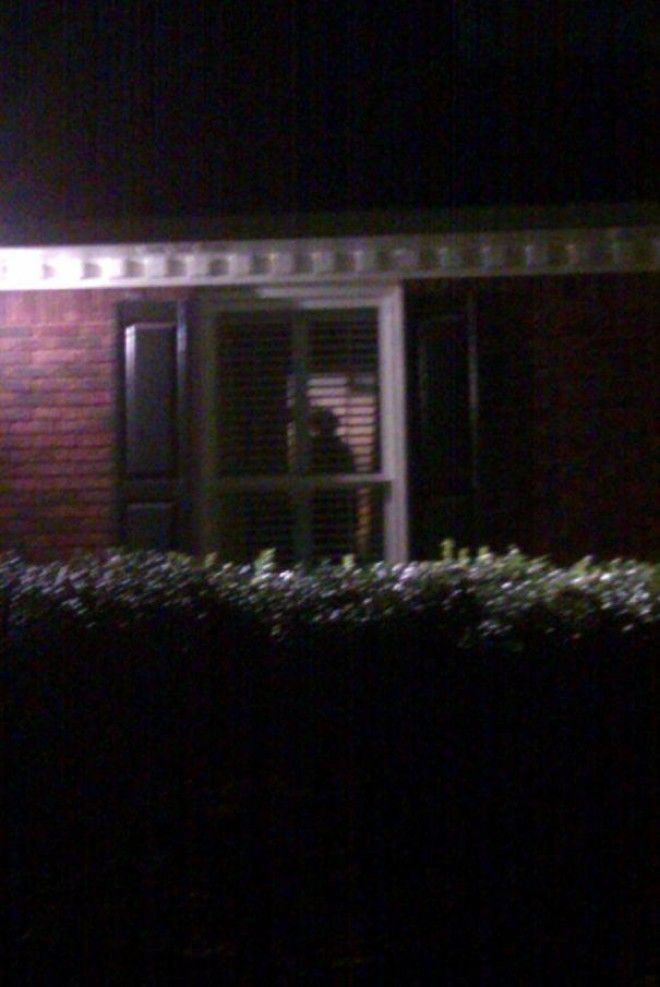 L19 жутких примеров когда безобидные вещи напугали людей до ужаса