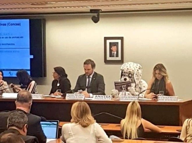 L20 фотографий которые слишком странные чтобы их объяснить