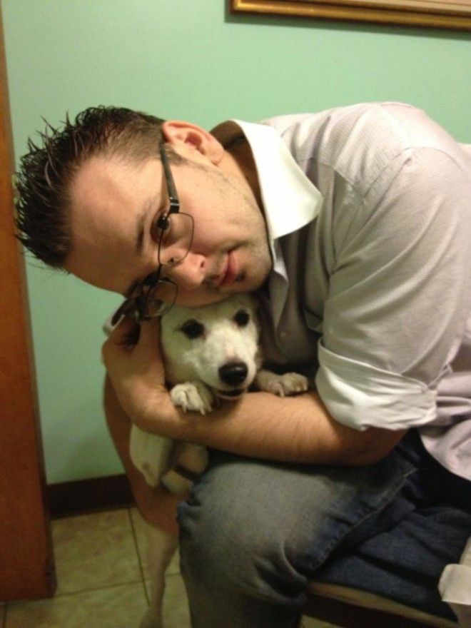 SТрогательная история о преданном псе который ждал хозяина у окна 11 лет