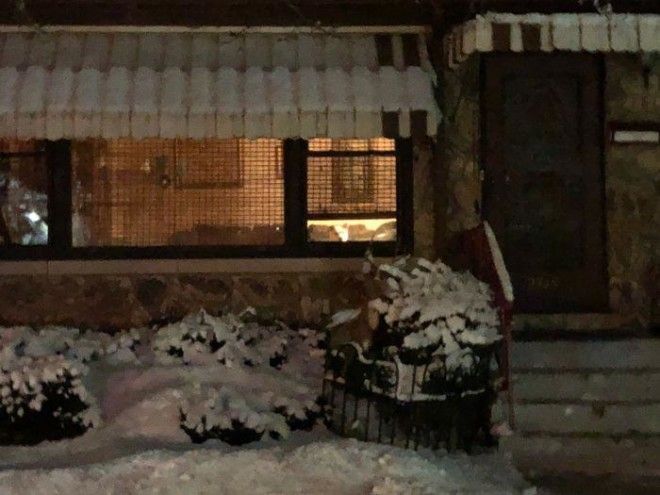 SТрогательная история о преданном псе который ждал хозяина у окна 11 лет