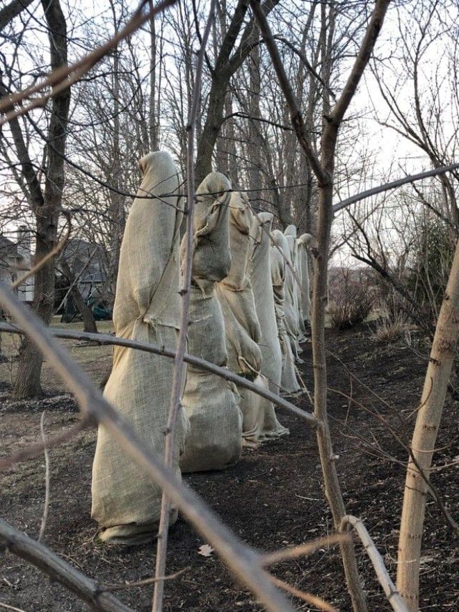 L19 жутких примеров когда безобидные вещи напугали людей до ужаса