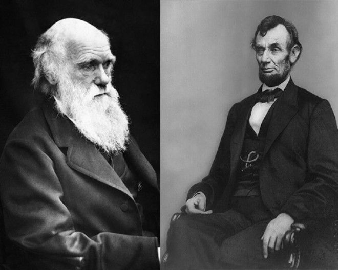 26 невероятных фактов о которых вы готовы поспорить не знаете