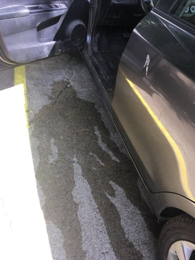 L19 жутких примеров когда безобидные вещи напугали людей до ужаса