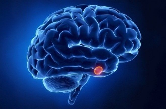 Три главных гормона молодости красоты и здоровья