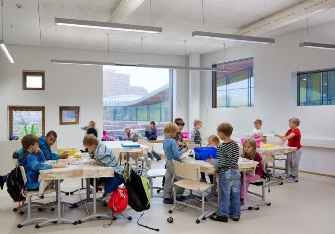 S4 интересных факта об образовании в разных странах мира