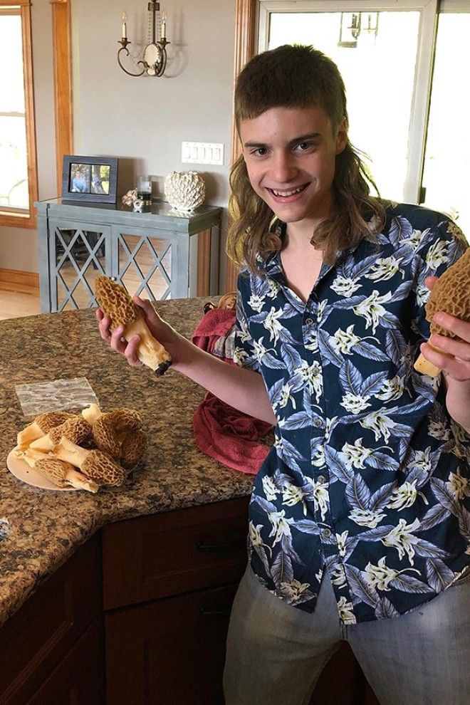 L25 человек которые хотели крутую стрижку но чтото пошло не так