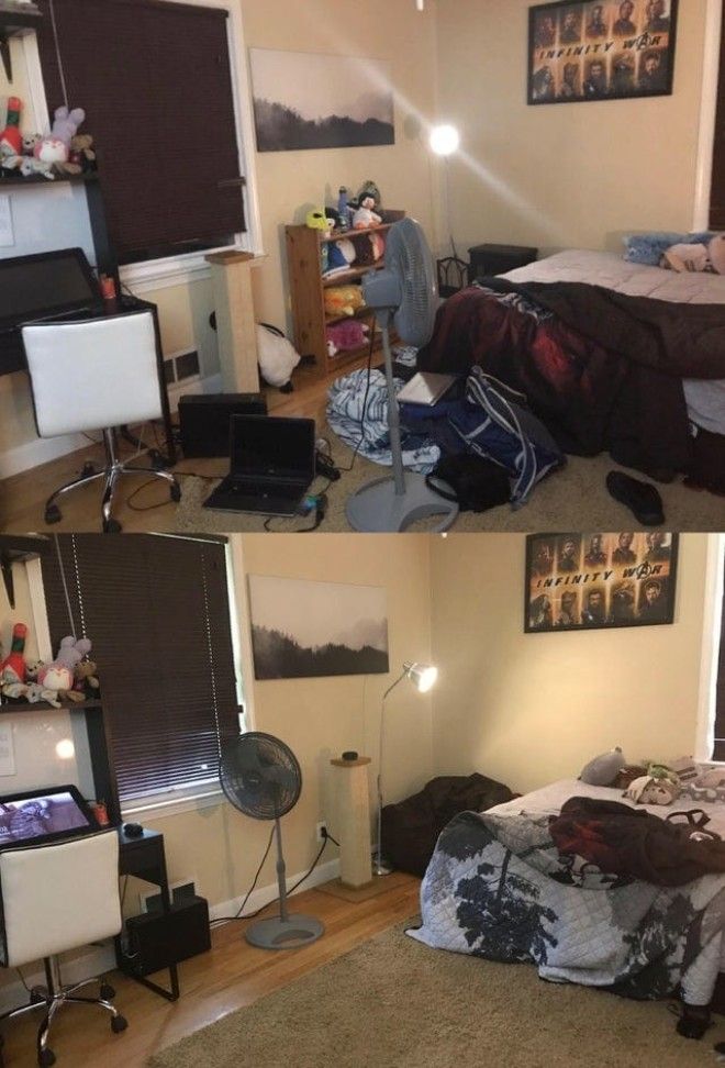 S15 впечатляющих сравнений которыми поделились пользователи сети