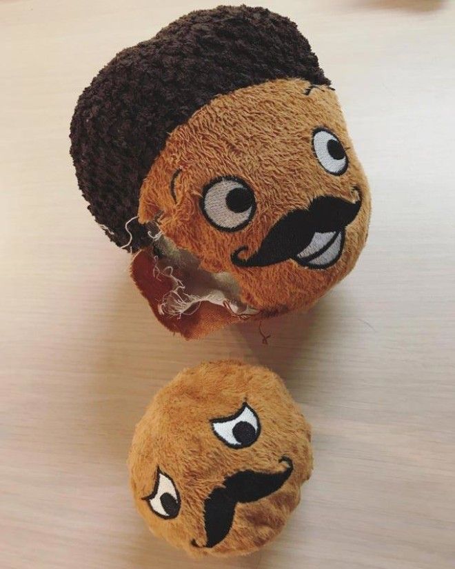 L20 фото удивительных вещей которые стоит увидеть хотя бы один раз в жизни