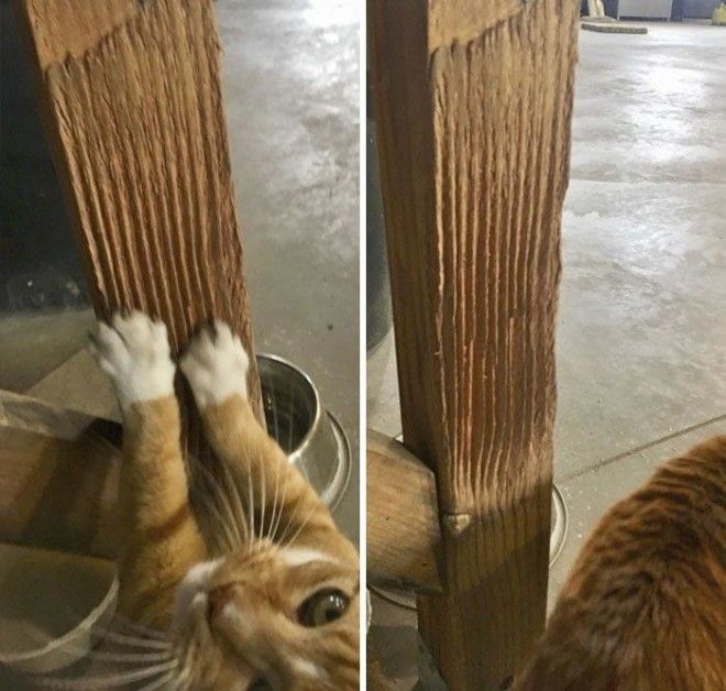 L25 поразительных примеров вещей которых не пощадило время