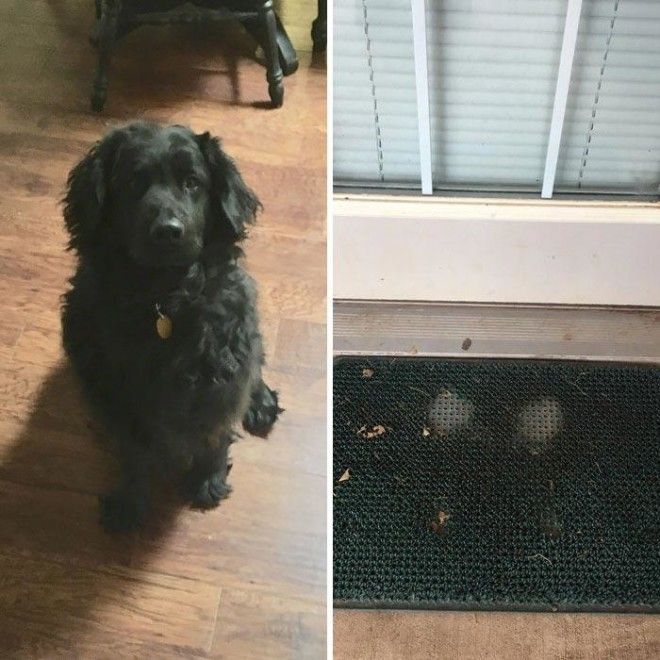 L25 поразительных примеров вещей которых не пощадило время