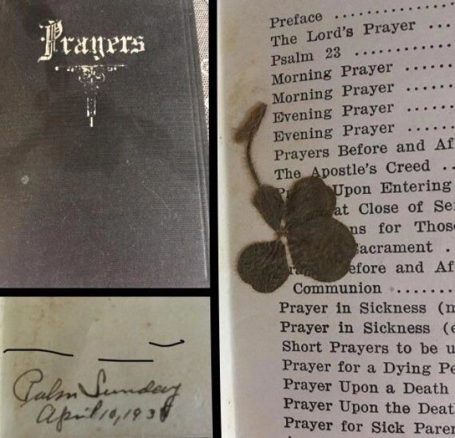 L20 фото удивительных вещей которые стоит увидеть хотя бы один раз в жизни