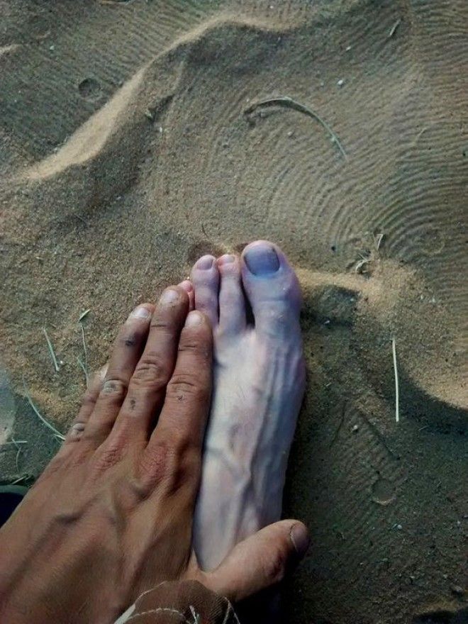 S15 впечатляющих сравнений которыми поделились пользователи сети