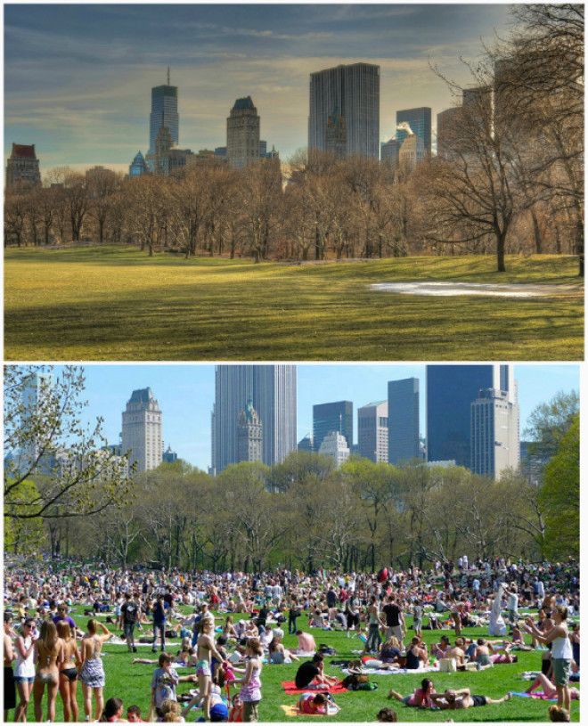 S10 примеров как туристические надежды разбиваются о жестокую реальность