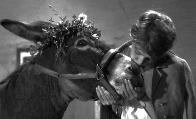 filmy pod vliyaniem filosofii Sartra 9