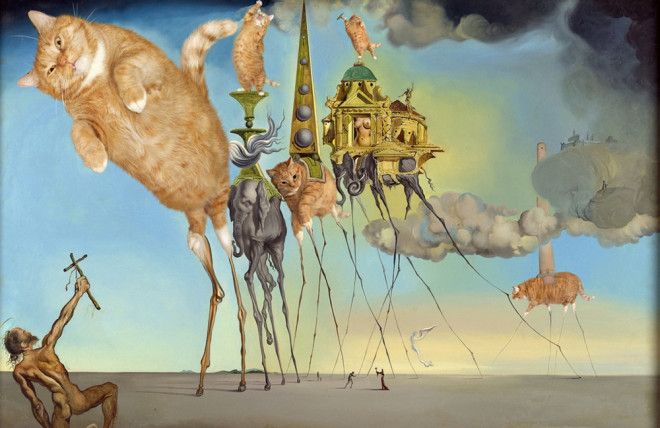 kotiki v jivopisi 3 2