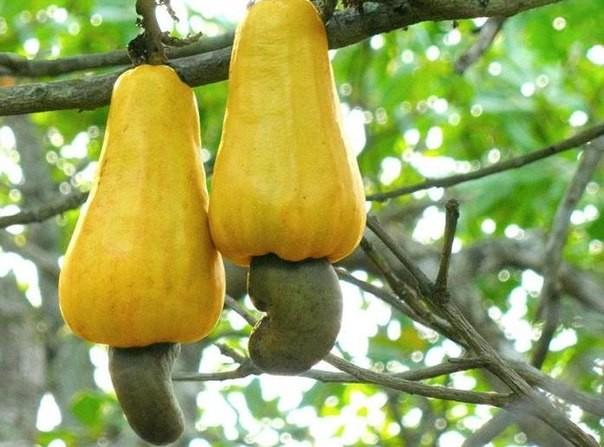 А Вы это знали?