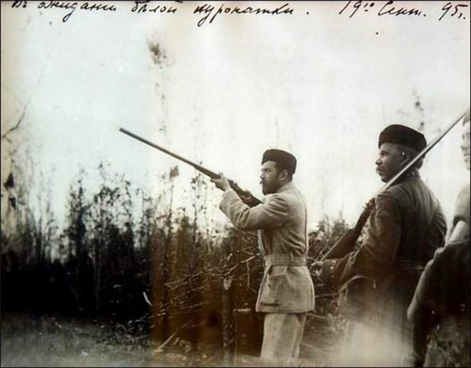 А ты побывал уже в Беловежской Пуще?