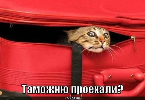Впечатляющие находки! :-)