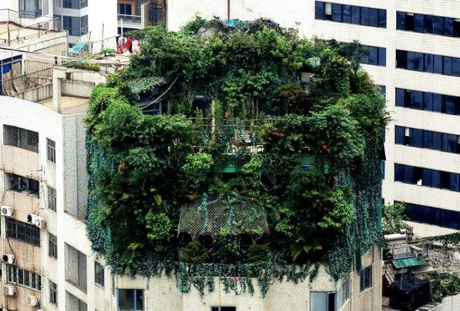 Хотел бы жить в каком-нибудь з них? 