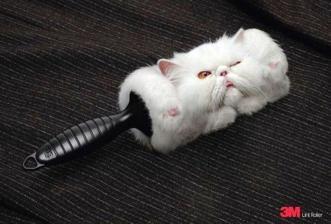 Очень неординарно!