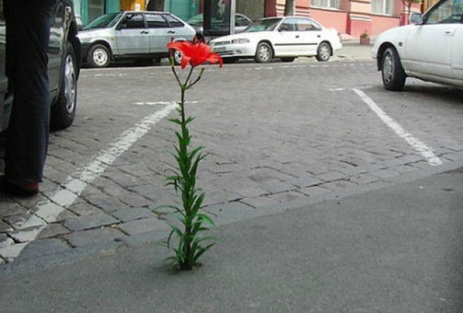 Время обладает самой мощной силой...