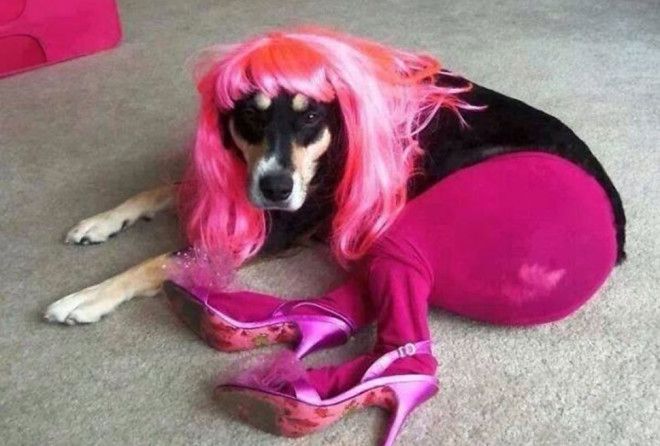 Есть над чем посмеяться :-)