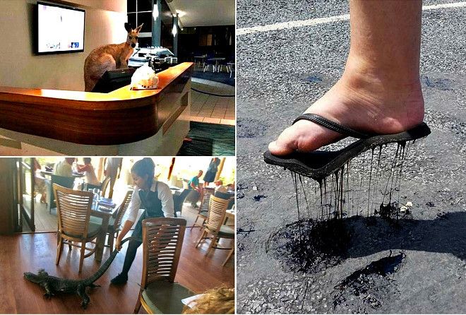 Добро пожаловать, путешественник!