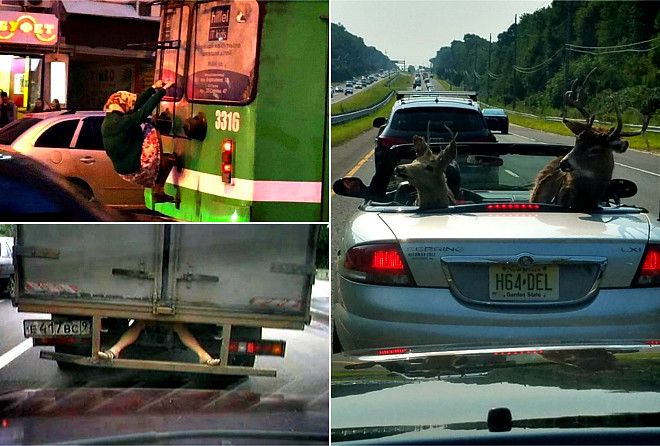 Курьезные ситуации 