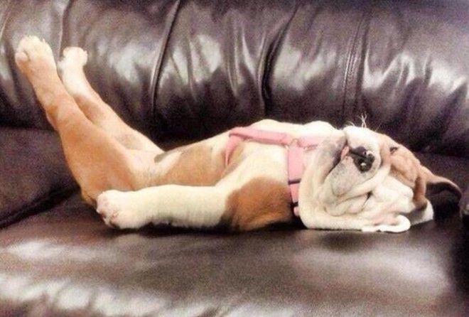 Эти фото не могут не растрогать :-)