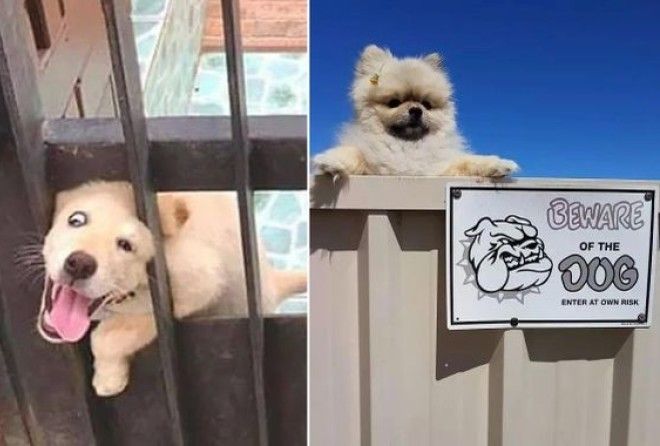 Но не объяснили, как это делать