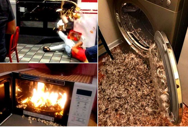 Люди, которые случайно наступили на черную полосу.