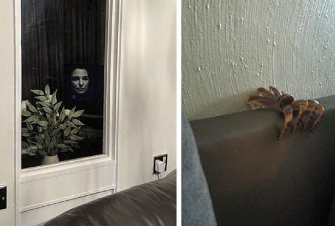 Так и сердце не выдержит...