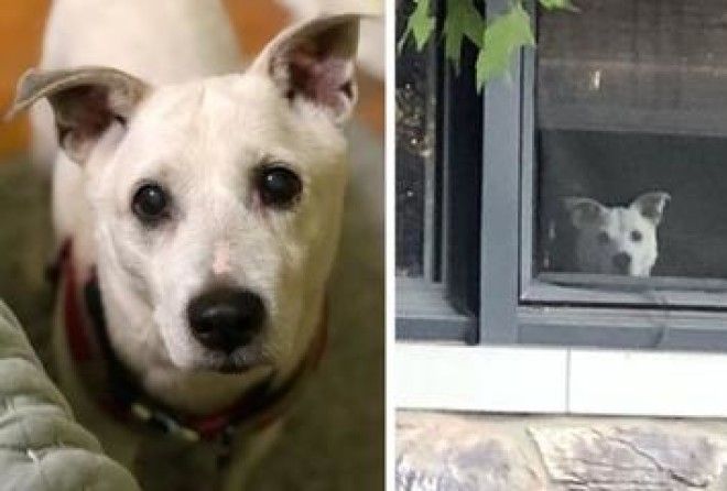 Это заставит вас расчувствоваться.