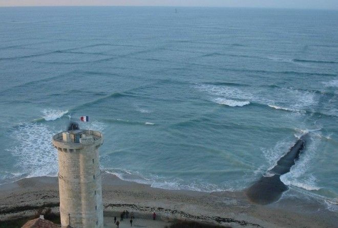 Если видите такие – убегайте из воды.