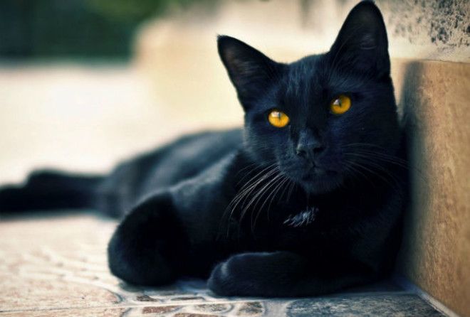 Очень интересно!