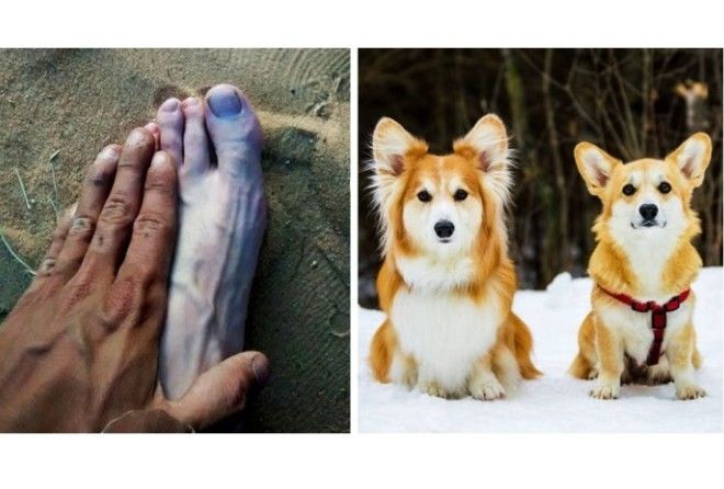 Удивительное рядом!