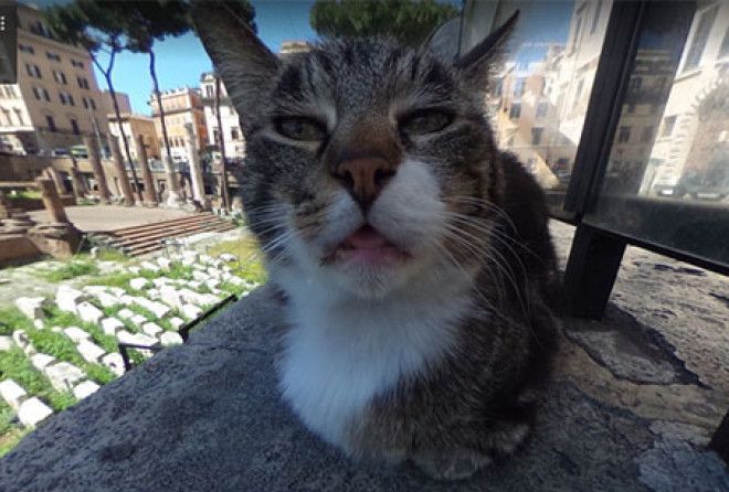 Опа! Кто тут у нас?